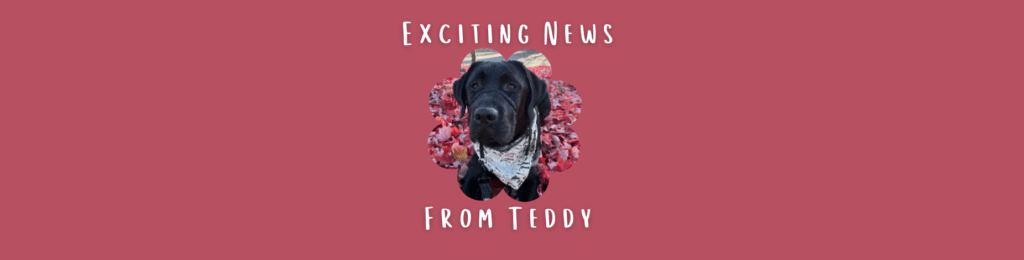 Teddy Has Some Exciting News For The Good Dogg Family!