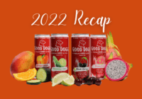 Good Dogg Blog Featured Image 2022 Recap