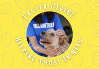 Good Dogg Blog Featured Image. Easter Giving, Helping Those In Need.