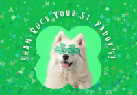 Good Dogg Blog banner, covered in clovers behind a dog with green clover sunglasses. A title reads Sham-Rock Your St. Paddy's!
