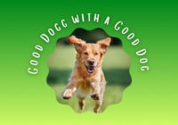 Good Dogg with a Good Dog Blog Banner.